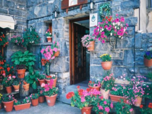Casa Herrero Oto Bilik gambar